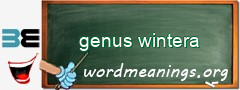 WordMeaning blackboard for genus wintera